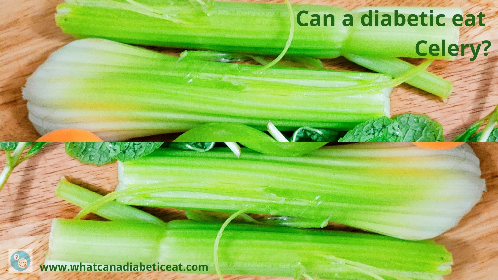 can-a-diabetic-eat-celery-does-celery-raise-blood-sugar-levels