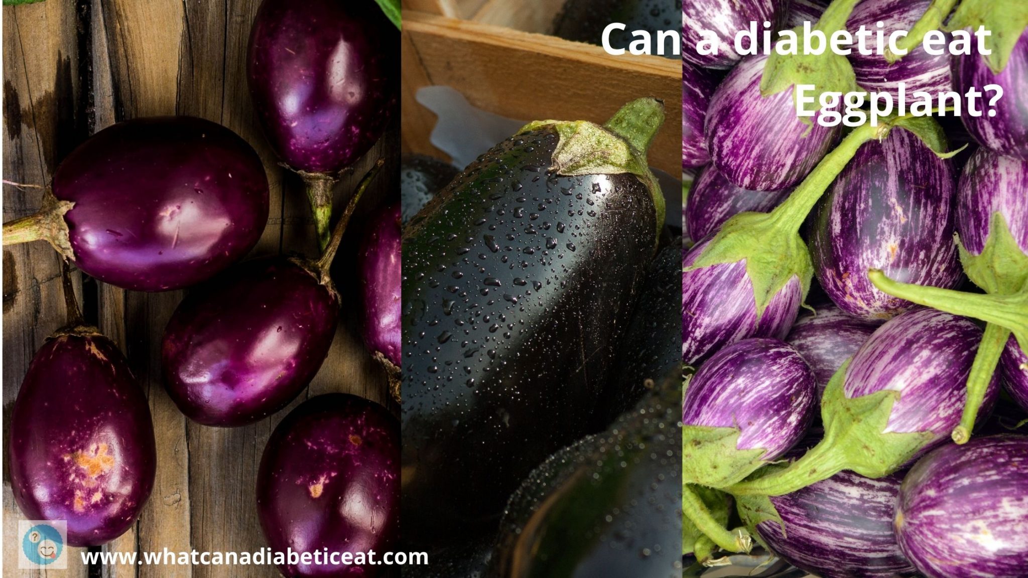 Can a diabetic eat Eggplant? Does eggplant raise blood sugar levels?