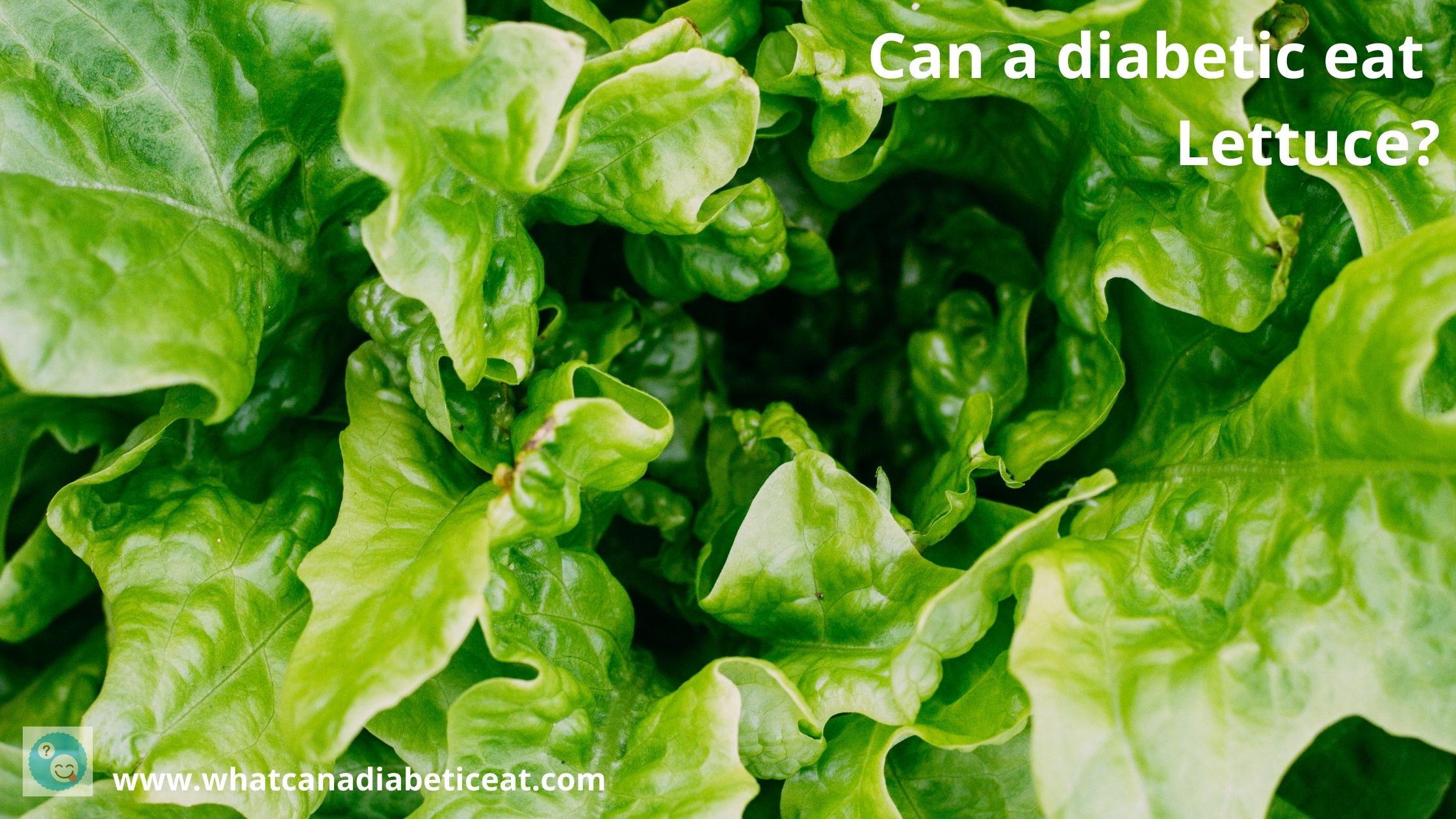 Can A Diabetic Survive Without Carbs