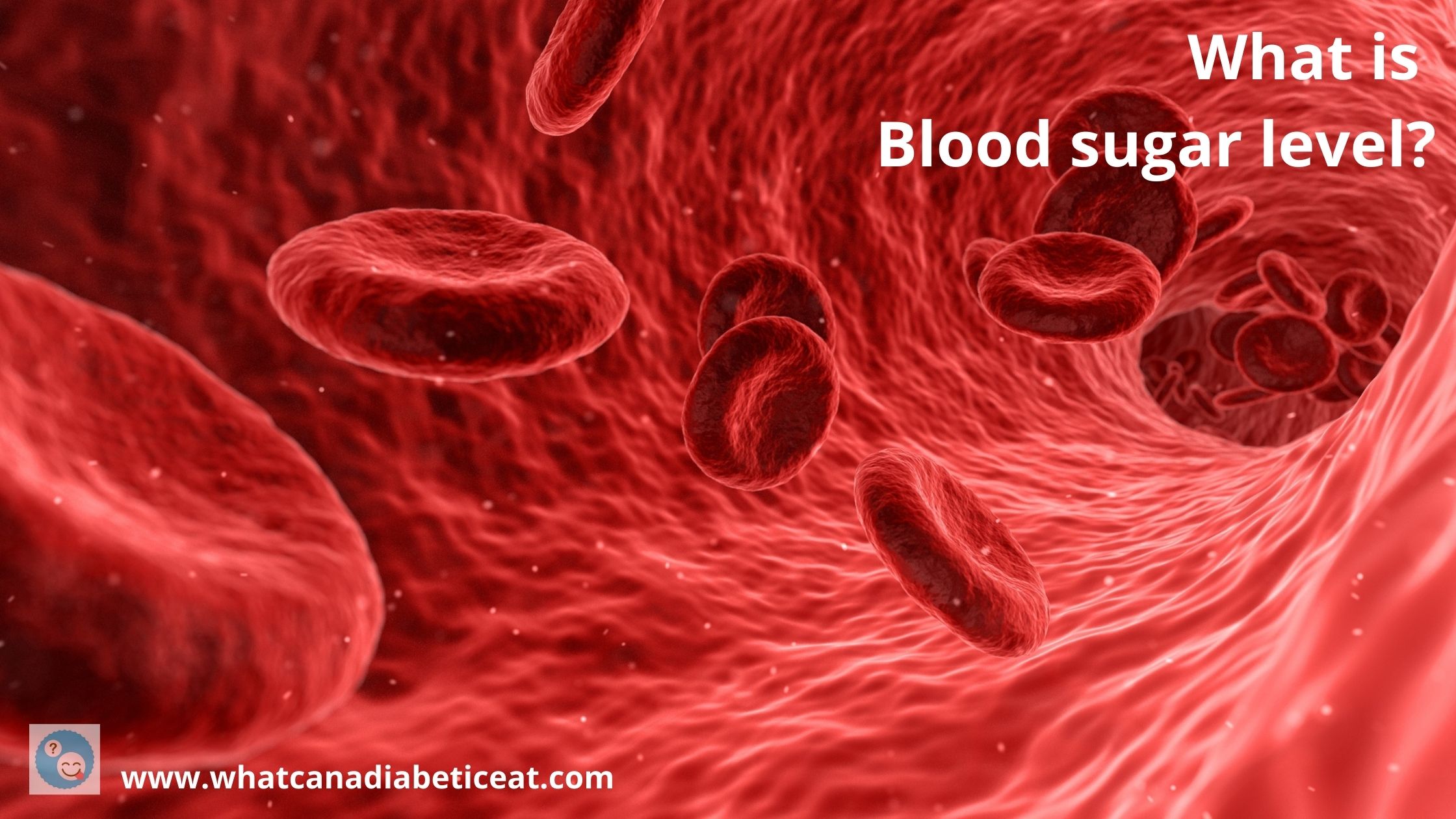 what-is-blood-sugar-level-how-is-blood-sugar-level-regulated