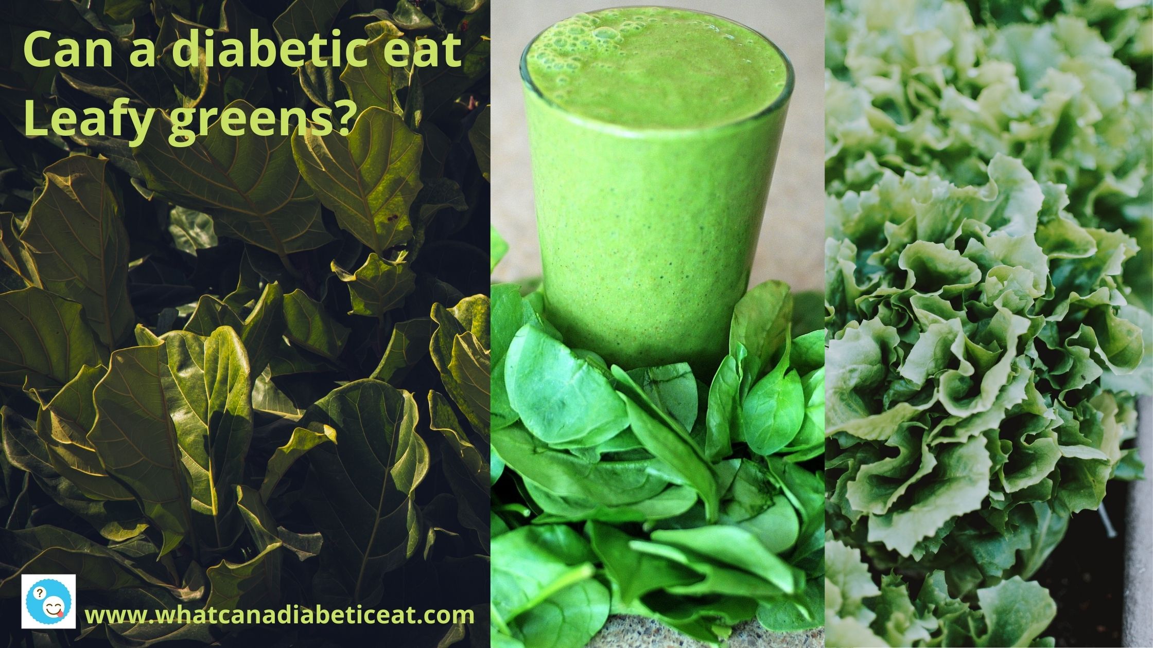 Can a diabetic eat leafy greens? Why eat leafy greens?