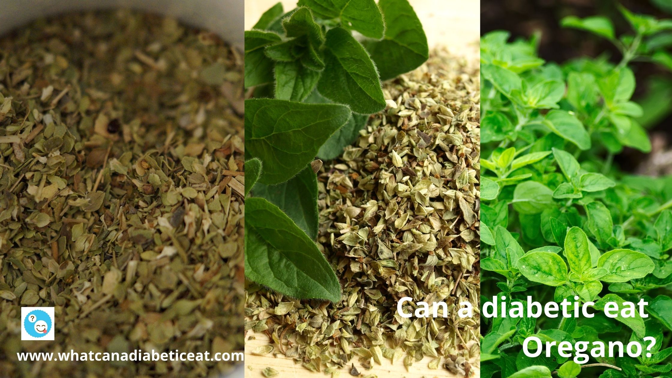 Can a diabetic eat Oregano? What are the benefits?